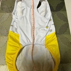 犬服　ミニチュアダックスの画像