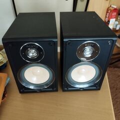 ★最終値下・激安★ソニーピーカーSS-CJ300