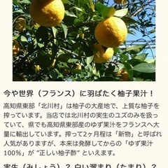 希少‼︎ 実生柚子酢　1.８リットル一升瓶入り　送料私が負担します‼︎の画像