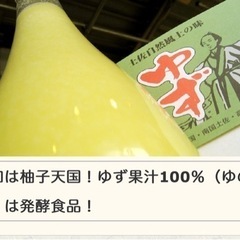 希少‼︎ 実生柚子酢　1.８リットル一升瓶入り　送料私が負担します‼︎の画像