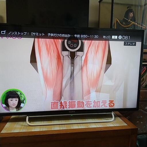 家電 テレビ