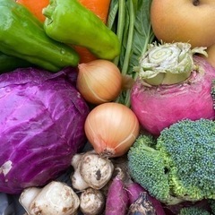 【0円】農家野菜と果物セットの無料モニターキャンペーン
