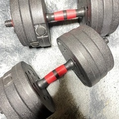 スポーツ フィットネス、トレーニング
