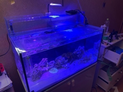 海水魚　水槽　900×450