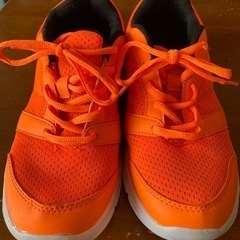 スニーカー【美品】 