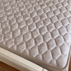 イタリアベットの画像