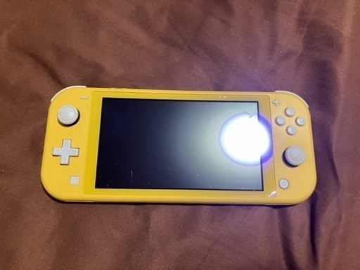 ニンテンドーDS,3DS Nintendo Switch Lite