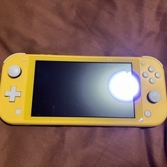 Nintendo Switch Lite
