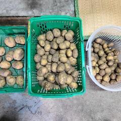 新ジャガ　じゃがいも　16kg　訳あり