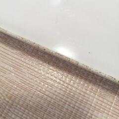 【蛍光灯】シンプル/スッキリ/大きめの画像