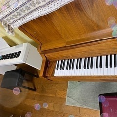 大人の生徒様大募集