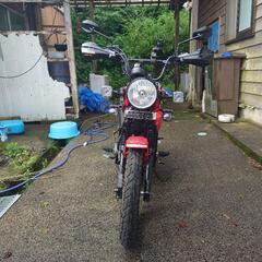 CT125 ハンターカブ　JA65 2023年式