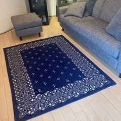 ジャーナルスタンダード　ラグ
