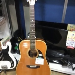 ●販売終了●Morris モーリス　アコースティックギター　W-...