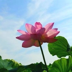 【歌声に自信のあるシンガーを探してます】