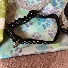 犬散歩セットの画像