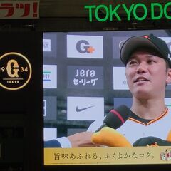 巨人ファンとお酒を飲みながら野球観戦しましょう！ - 港区