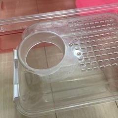 ハムスター飼育セットの画像