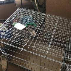 犬猫用ケージ写真変更　再投稿
の画像