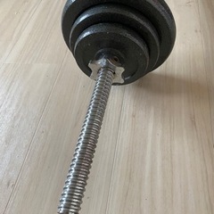 フィットネスの画像