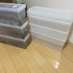 昆虫用品　ケース　その他