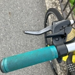ルイガノ　クロスバイクの画像