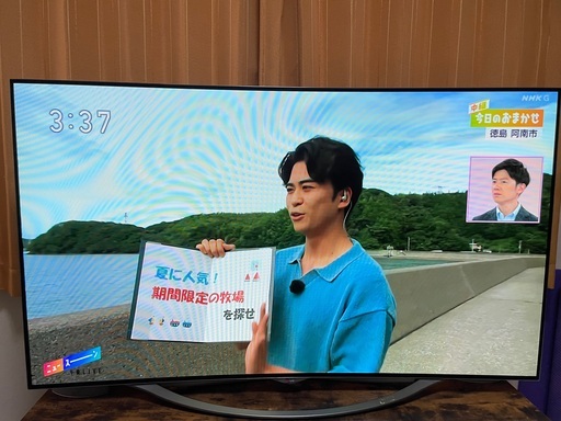 【最終値下げ】LG 55型 有機ELテレビ 2015年製 型名55EC9310-JB