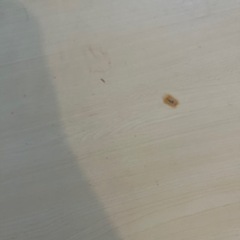 家具 テーブル の画像