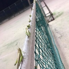 宇部硬式テニスサークルメンバー募集