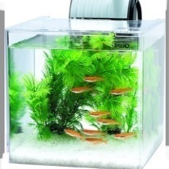 【お引取り決定】🐟未開封🐟テトラ🐟ミニアクアリウム お魚飼育　２...