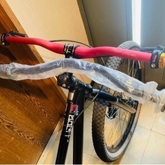 HARO マウンテンバイクの画像