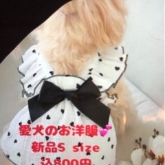 愛犬のお洋服