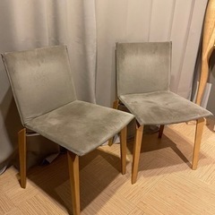 AD CORE エーディコア CERVO ダイニングチェア 2脚セット