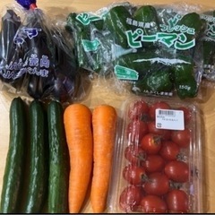 受け渡し者【決定】②国産野菜セット