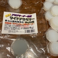 昆虫ゼリー