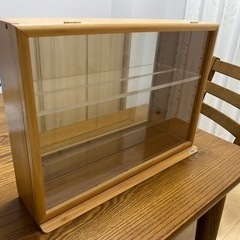ナカバヤシ　コレクションケース