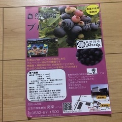 ブルーベリー狩り