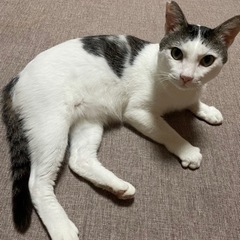 命拾いした3歳半の男の子