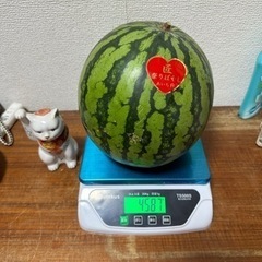 1300円一個美味しいスイカ