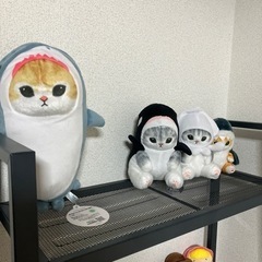 サメにゃんぬいぐるみ決まりました😊