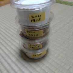 スマトラオオヒラタ(幼虫)の画像