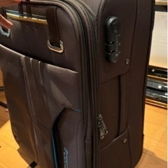 ミニ キャリーバッグ、スーツケースの画像