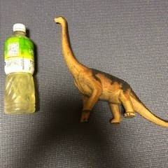 恐竜ソフビ