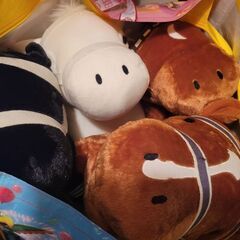 馬好きな方！