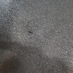 スポーツの画像