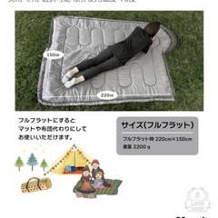 新品未使用未開封品　
Alexilia (アレクシリア) 寝袋 シュラフ 枕付き コンパクト 防災用 冬用 選択可能 限界使用温度-15度の画像