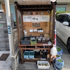 メダカ無人販売
