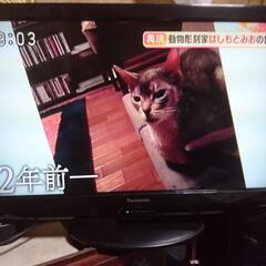 家電 テレビ