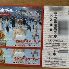 ナガシマジャンボ海水プール入場券２枚セット(ナガシマスパーランド...