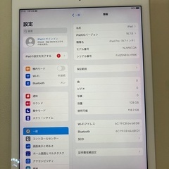Apple iPadPro9.7ｲﾝﾁ126GBWi-Fiモデル
